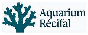 Aquarium Récifal